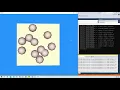 VTK Example - Picking