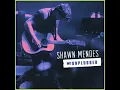Shawn Mendes - Stitches (MTV Unplugged)