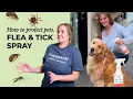 How To Wondercide Flea Tick Pets Home spray