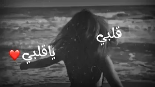 اغنيه نانسي عجرم الجديدة قلبي ياقلبي حالات واتساب 