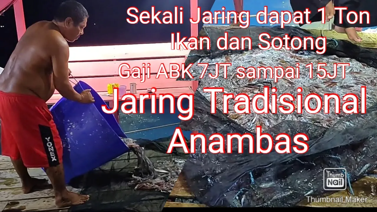 Sekali lempar dapat 1 ton ikan sotong | BAGAN Anambas Kepulauan Riau | Gaji ABK 7JT - 15JT PNS LEWAT