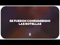 Vicente Fernández - Mujeres Divinas (Letra)