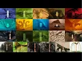 Download Lagu ALL TITAN ROARS IN MONSTERVERSE (PART - 2)
