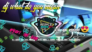 Download DJ WHAT DO YOU MEAN BY REVA INDO || REMIX TERBARU FUL BASS🚀 MP3