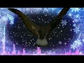 Videomusic:) 90 - Roger Shah & Ambedo - Birds Of Prey