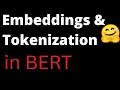 Understanding BERT Embeddings and Tokenization NLP HuggingFace Data Science Machine Learning