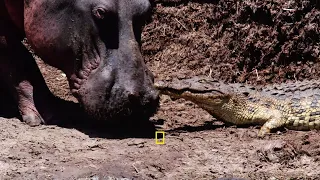 برنامج جديد كاتافي فردوس إفريقيا المنهار ناشونال جيوغرافيك أبوظبي 