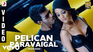thoranai pelican paravaigal video mani sharma