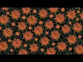 Feid - Desquite (Visualizer)