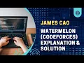 Watermelon Codeforces Problem Explanation and Solution