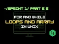 Looping and Array in