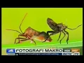 Download Lagu Gallery Photography Indonesia   in WideShot program @MetroTV