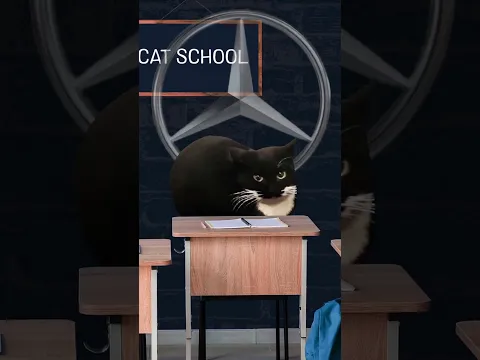HELP 🍌🐱 TO LEARN CAR BRANDS 🤣