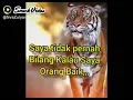 Download Lagu story WA snack video