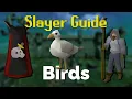 Bird Slayer Quick Guide OSRS