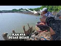 Download Lagu Serunya mancing saat ikan babon nya yang makan,ikan nya langsung kita goreng dan makan bersama
