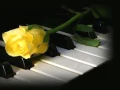 Download Lagu Aashiqui - The Love Theme
