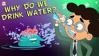 Download Why Do We Drink Water | Importance Of Water | Stay Hydrated | The Dr Binocs Show | Peekaboo Kidz MP3