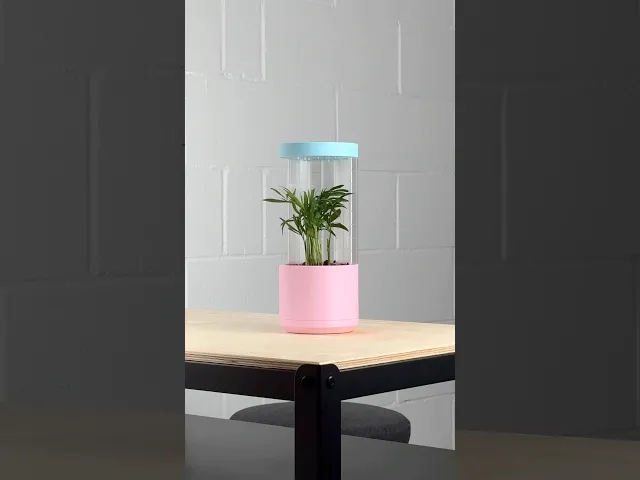 Deco, desk vase. video thumbnail