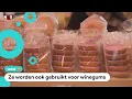 Download Lagu Waarom worden er luizen voor roze koeken gebruikt?