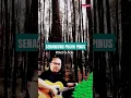 Download Lagu SENANDUNG PUCUK PINUS Ebiet G Ade