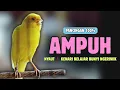 Download Lagu Ampuh 100%❗Pancingan KENARI PAUD Belajar Bunyi - Cocok Untuk Kenari Belajar Bunyi Ngeriwik || 586