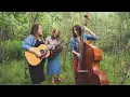Lula Wiles - Good to You (Hillside Festival 2017)