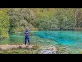 Snorkeling a Small Blue Spring