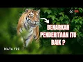 Download Lagu Benarkah Penderitaan Itu Baik ? 🤔🙏✝️🎉 #berkatdalamderita #imankristen #pesantuhan