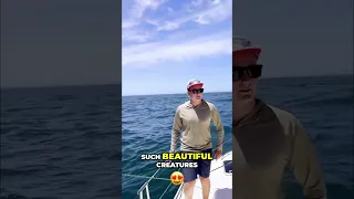 Hundreds of WHALES! You WON’T BELIEVE This Ocean Encounter! #shorts