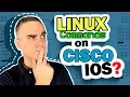 10x Engineer What You can do this on Cisco IOS