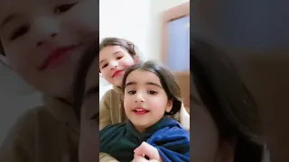 اركدلي دندنها