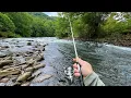 TROUT Fishing with Spinners on Tailwater River