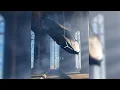 FUNK SIGILO (ULTRA SLOWED) - h6itam