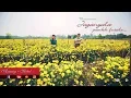 Download Lagu Baban | Jagnyala Pankh Futle | Pre Wedding | Sharad Pokharkar Photography | RED FOGG