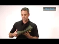 Marine Corps Tap and Torque Tests for E-SAPI plates