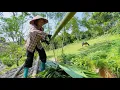 Download Lagu My only shelter is at risk of being destroyed by climate change. A big wind_Ly Tieu Yen