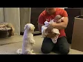 Lagu The Dog Wanted To See The Baby When Dad Let Her See Him He Did What Nobody Expected