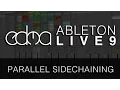 Tutorial Parallel Sidechaining in Ableton Live