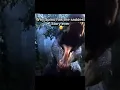 Download Lagu Why I feel bad for spino #dinosaur #jurassic #jurssicworld