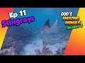 Download Lagu Ikan Pari, Raksasa Laut yang Anggun - Fakta Menakjubkan untuk Anak-anak (S3 Ep11)