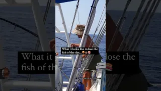 Fish of the Day… EPIC FAIL🤬 🎣 from a ⛵️ #shorts