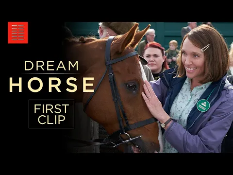 DREAM HORSE | 