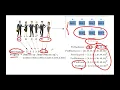 Lesson 5a Binary Optimisation Problems in MATLAB