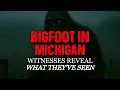 Download Lagu BIGFOOT IN MICHIGAN: WITNESSES REVEAL WHAT THEY'VE SEEN