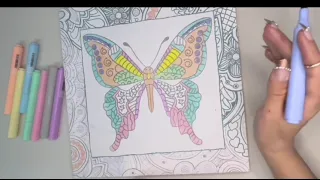 Fun butterfly coloring