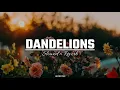 Dandelions Slowed × Reverb Edit, Dandelions Lofi Song, Lofi Edits, Dandelions #dandelions #lofi