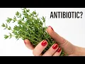 Lagu Als dit niet helpt, dan helpt niets! Natuurlijk antibioticum uit de volksgeneeskunde