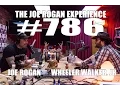 Download Lagu Joe Rogan Experience #786 - Wheeler Walker, Jr.