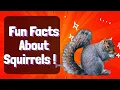 Squirrels Secret Tricks You Won t Believe